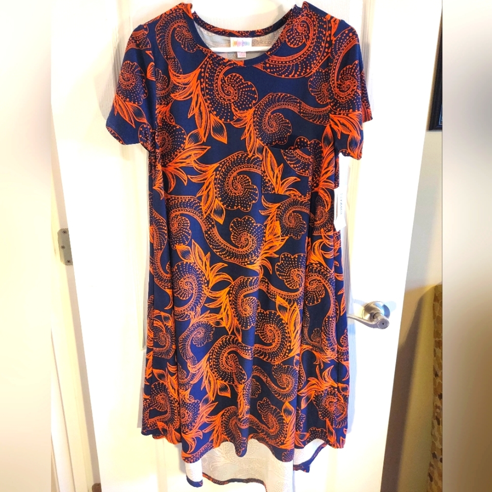 LulaRoe Carly Dress